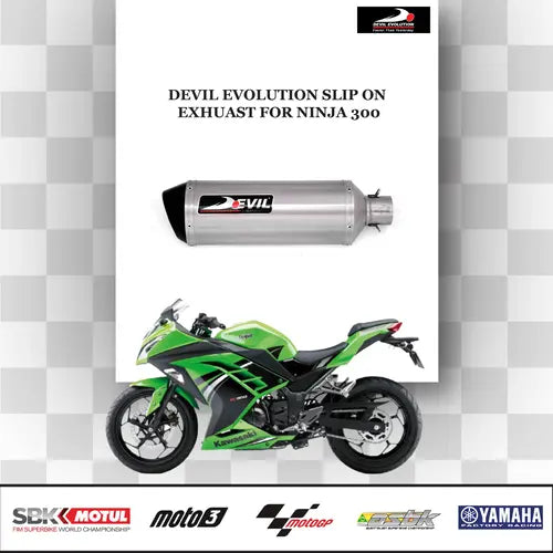 Devil Evolution Slip-On Exhaust with Link Pipe for Kawasaki Ninja 300 | Performance Racing Exhaust India