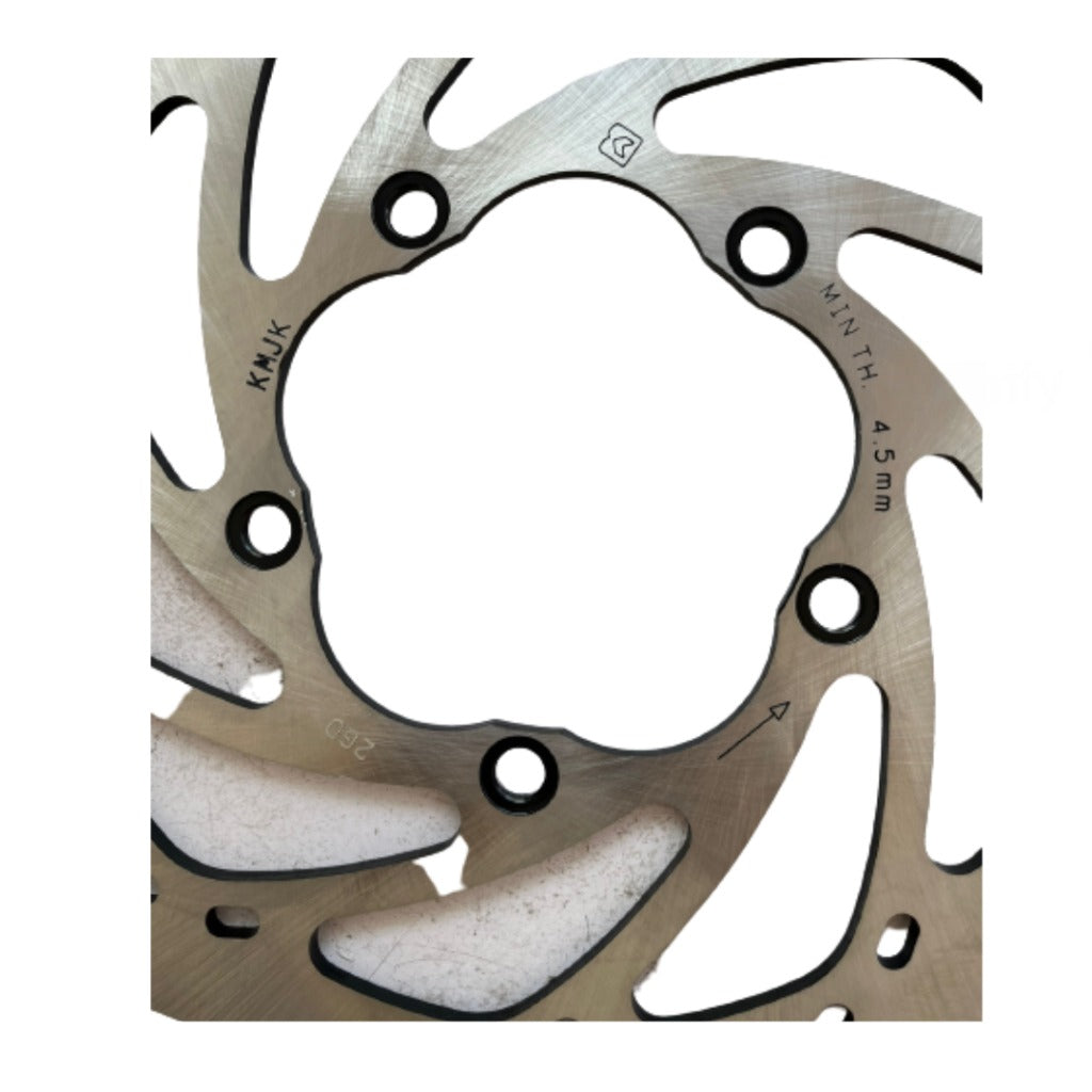 Apache RR 310/BMW 310 front disc plate | TVS - View 2