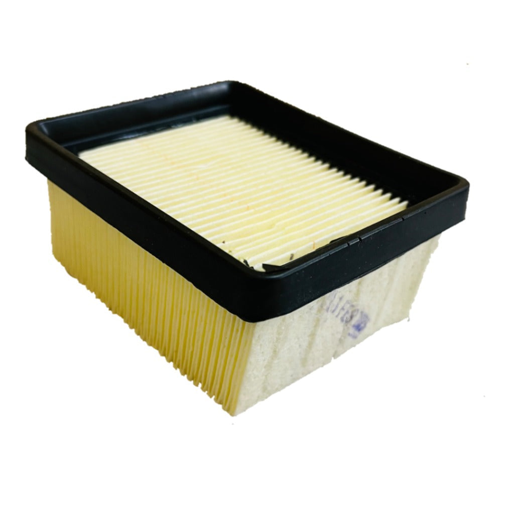 Apache RR 310/BMW 310 GS/R air filter (stock) | TVS | BMW - View 2